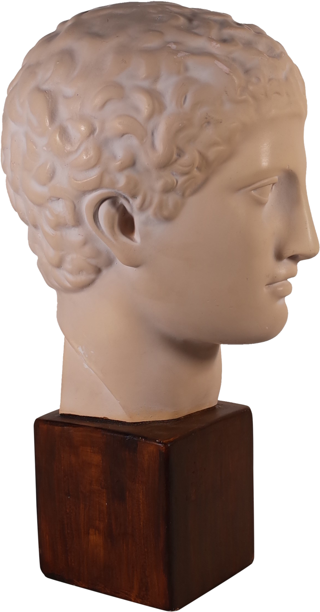 Classical Plaster Bust Sculpture