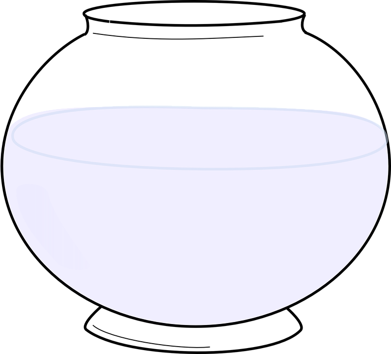Clear Glass Bowl Half Fullof Water