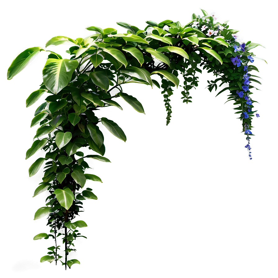 Climbing Plants Png 46