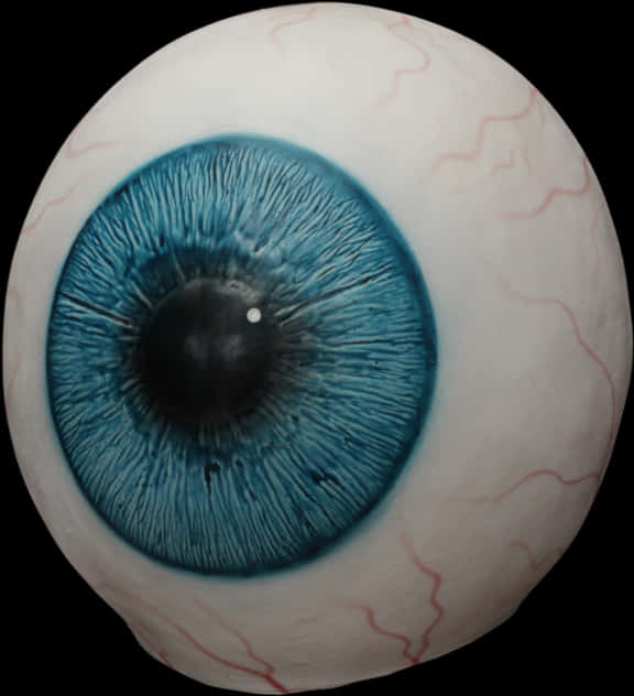 Close Up Blue Human Eyeball