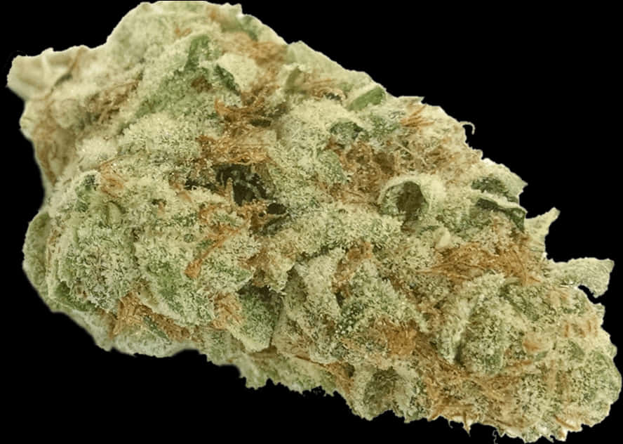 Close Up Cannabis Bud Quality