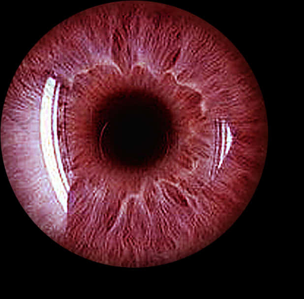 Close Up Human Eye Red Tint
