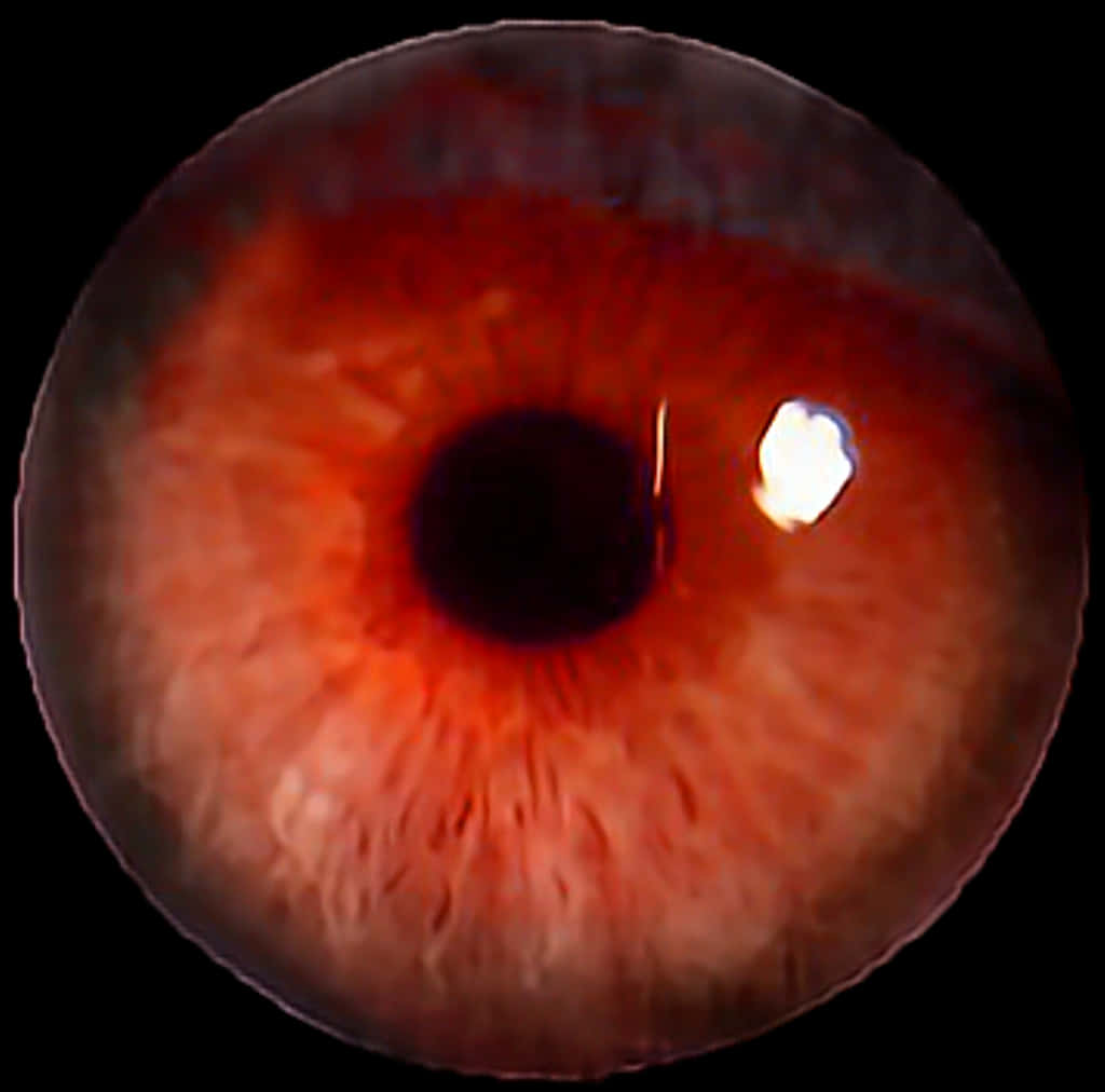 Close Up Red Human Eye