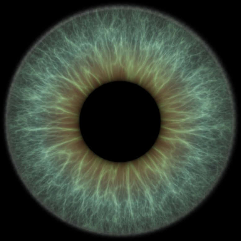 Closeup Human Iris Texture