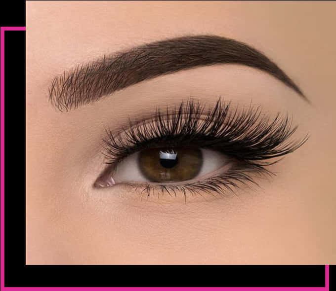 Closeup Perfect Eyebrowsand Lashes