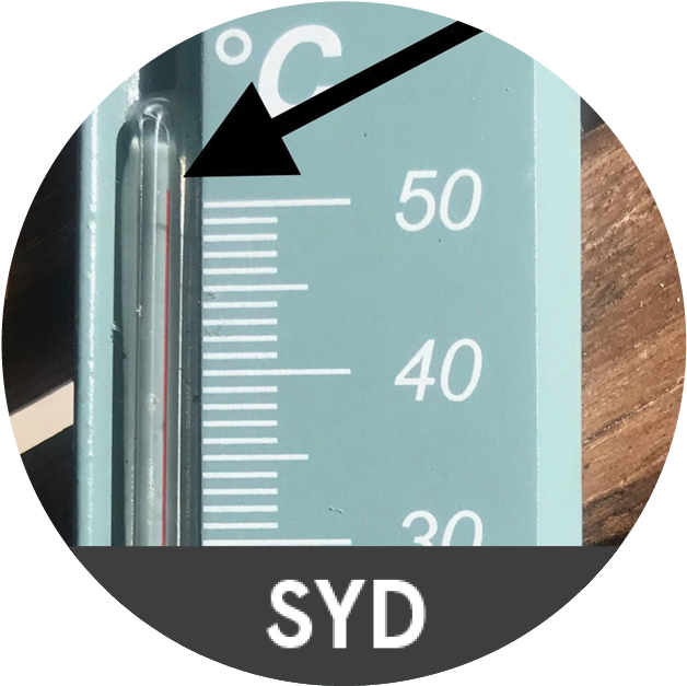 Closeup Thermometer Reading S Y D