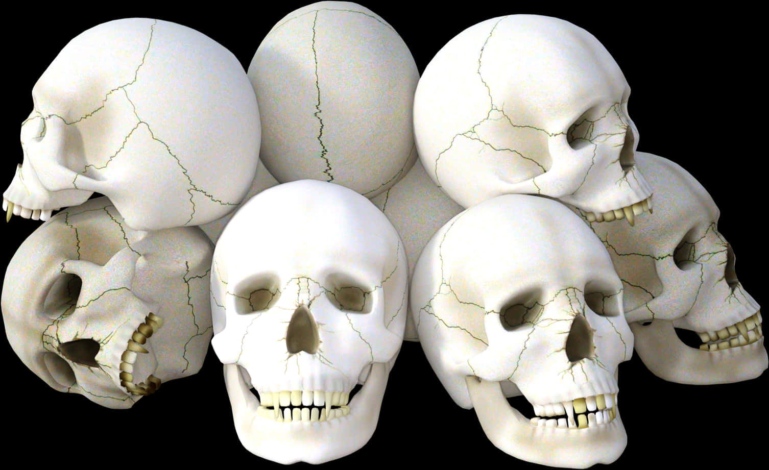 Clusterof Human Skulls