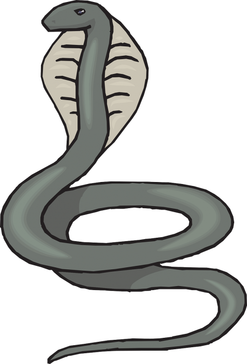 Cobra Illustration.png