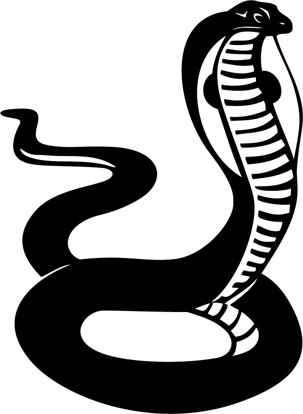 Cobra Silhouette Graphic