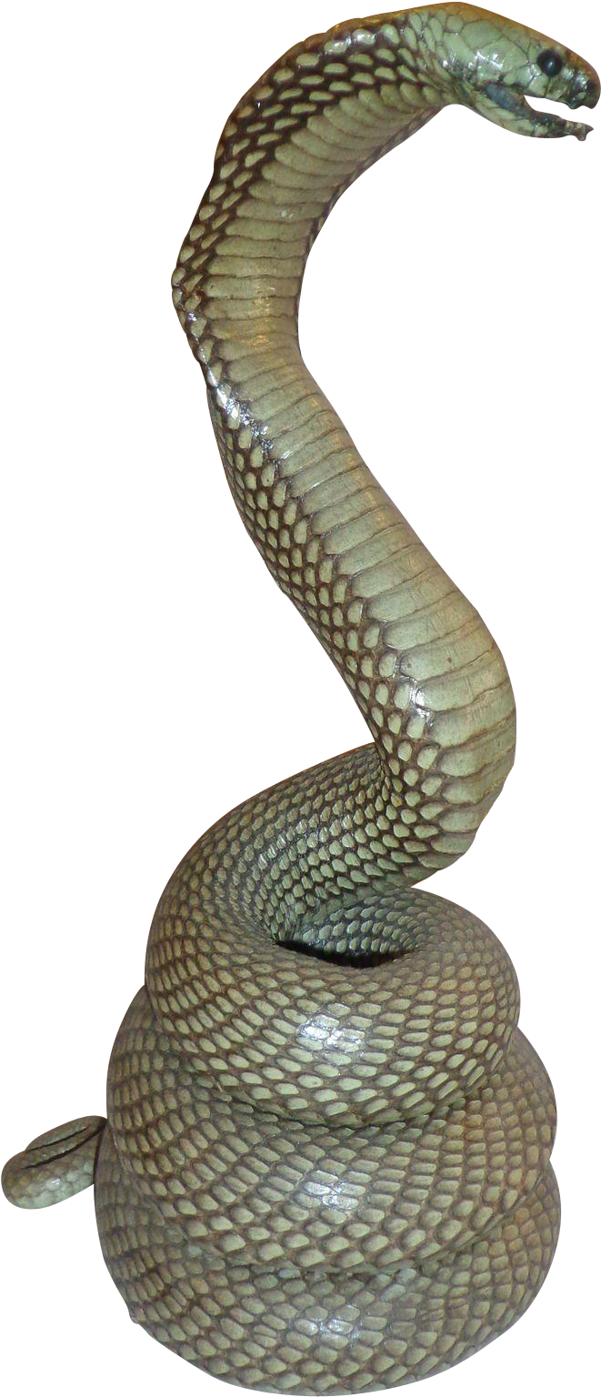 Cobrain Defense Posture