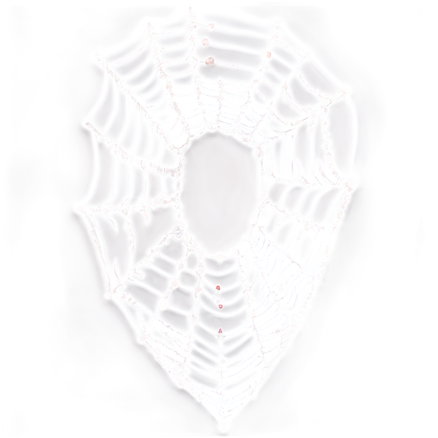 Cobweb Clipart Png Tlq45