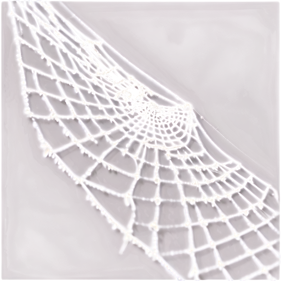 Cobweb Detail Closeup Png Abo