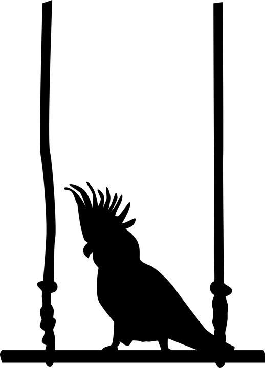 Cockatoo Silhouetteon Perch