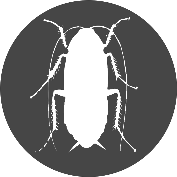 Cockroach Silhouette Graphic