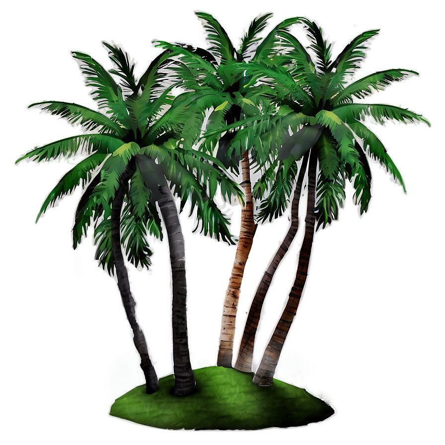 Coconut Palm Trees Png 05042024