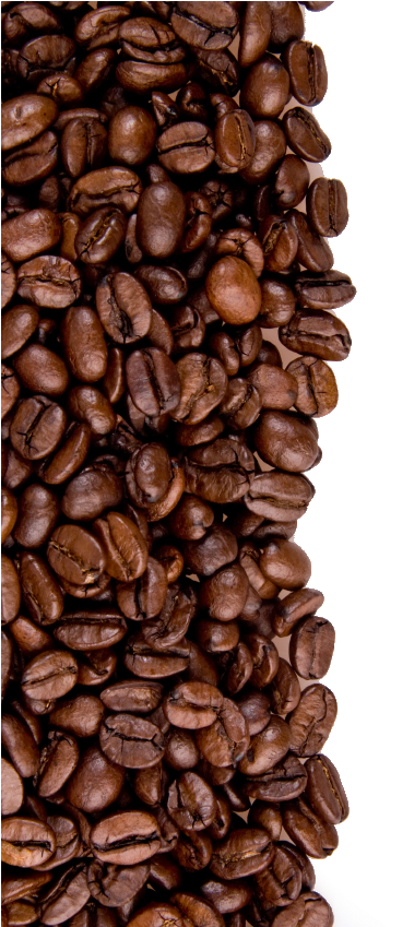 Coffee Beans Texture Background