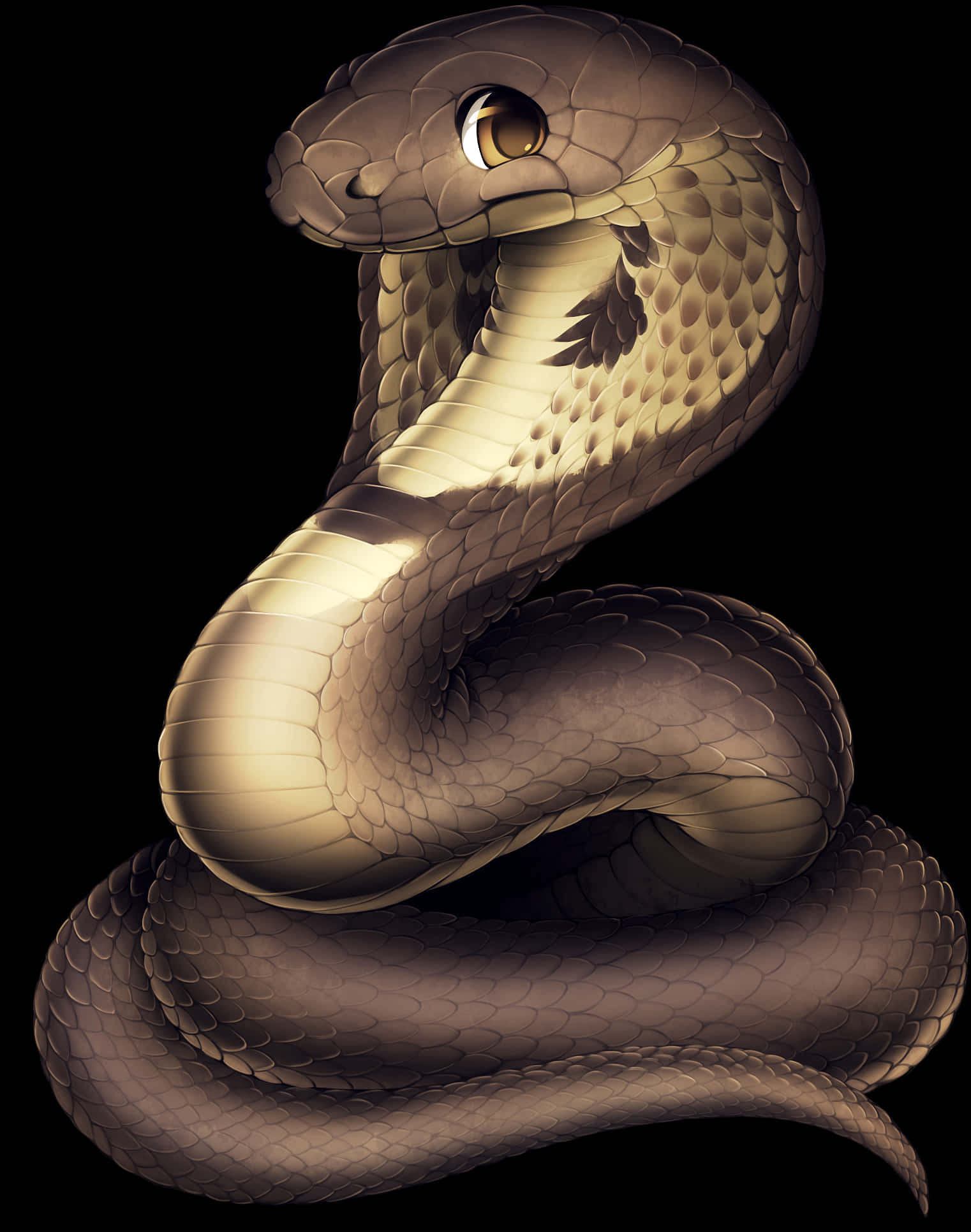 Coiled Snake Illustration