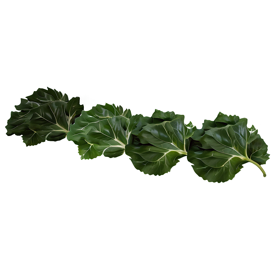 Collard Greens And Rice Png 06252024