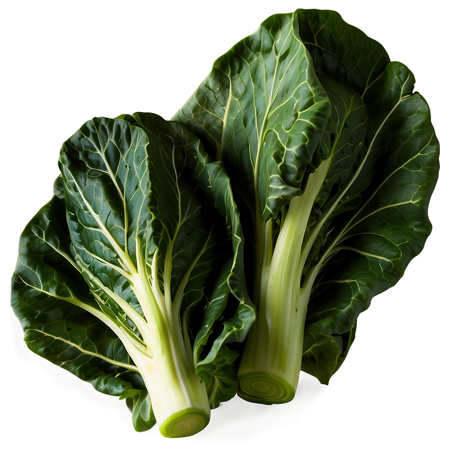 Collard Greens Clipart Png 51