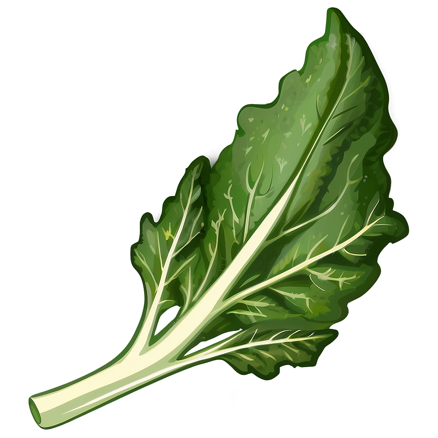 Collard Greens Drawing Png 5