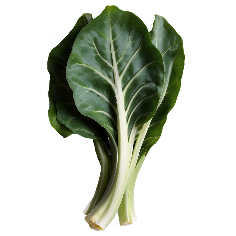 Collard Greens Drawing Png Lln