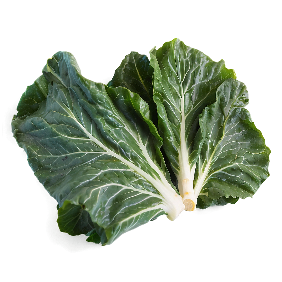 Collard Greens Icon Png 06252024