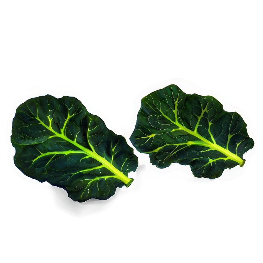 Collard Greens Icon Png Dws