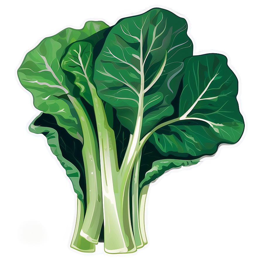 Collard Greens Illustration Png Myy87