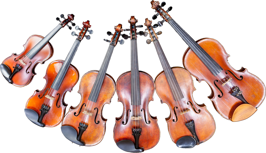 Collectionof Violins