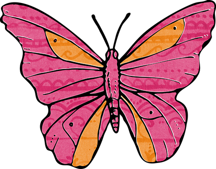 Colorful Abstract Butterfly Art