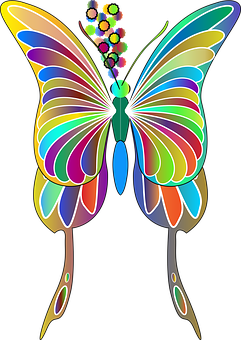 Colorful Abstract Butterfly Art