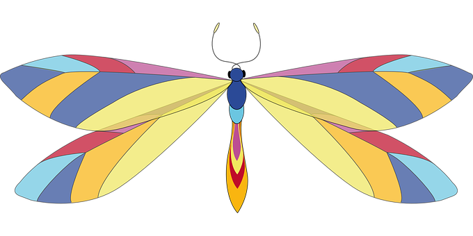 Colorful Abstract Butterfly Illustration