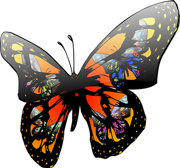 Colorful Abstract Butterfly