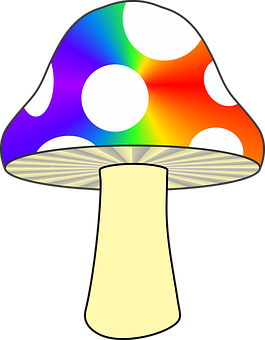 Colorful Abstract Mushroom