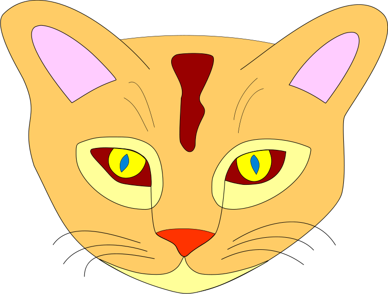 Colorful Animated Cat Face