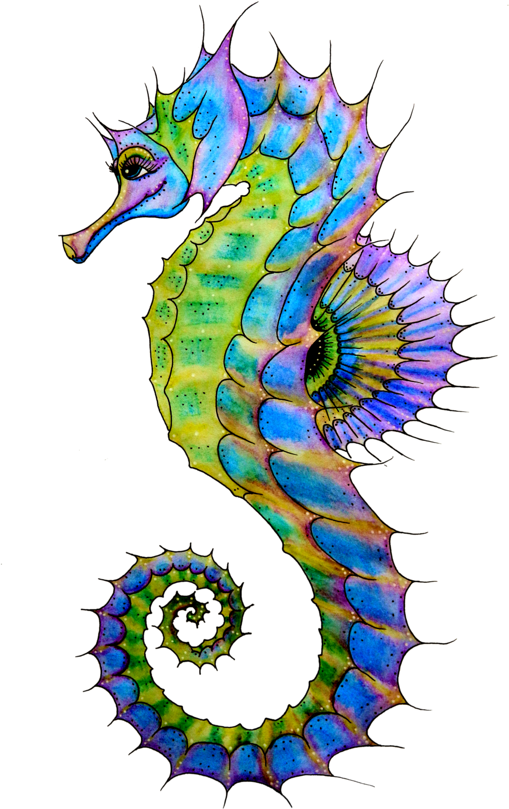 Colorful Artistic Seahorse Illustration