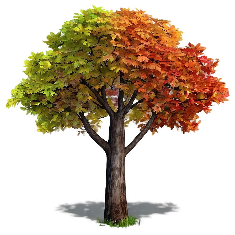 Colorful Autumn Tree Png Uoa