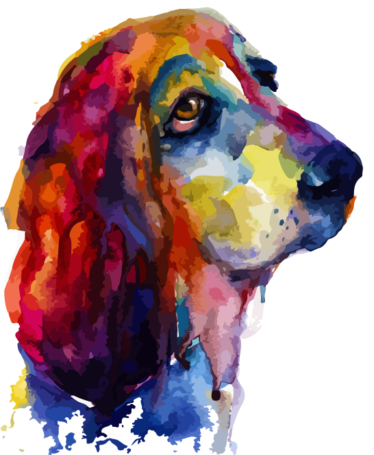 Colorful Basset Hound Portrait