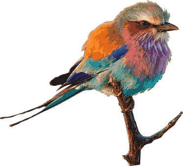 Colorful Bird Illustration