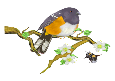 Colorful_ Bird_on_ Flowering_ Branch