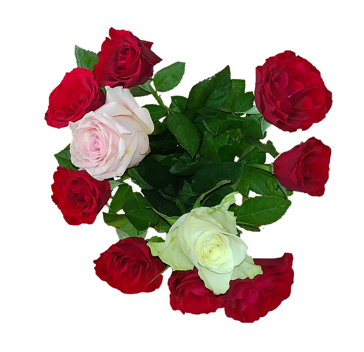 Colorful Bouquetof Roses