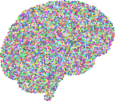 Colorful Brain Connectome Representation