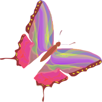 Colorful Butterfly Illustration