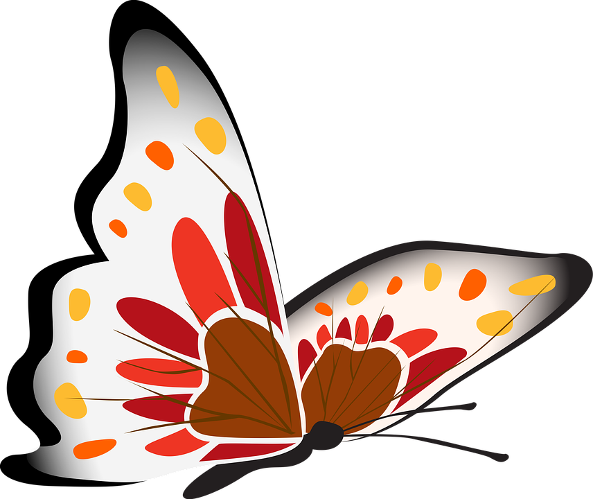 Colorful Butterfly Illustration