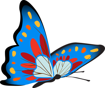 Colorful Butterfly Illustration