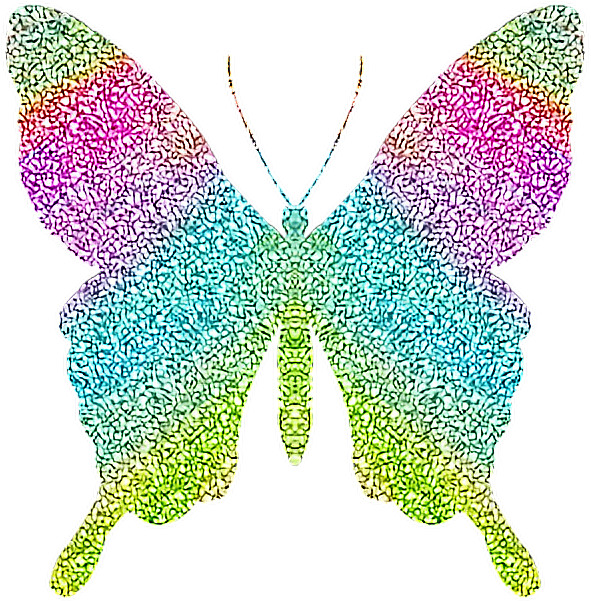 Colorful Butterfly Wing Artwork