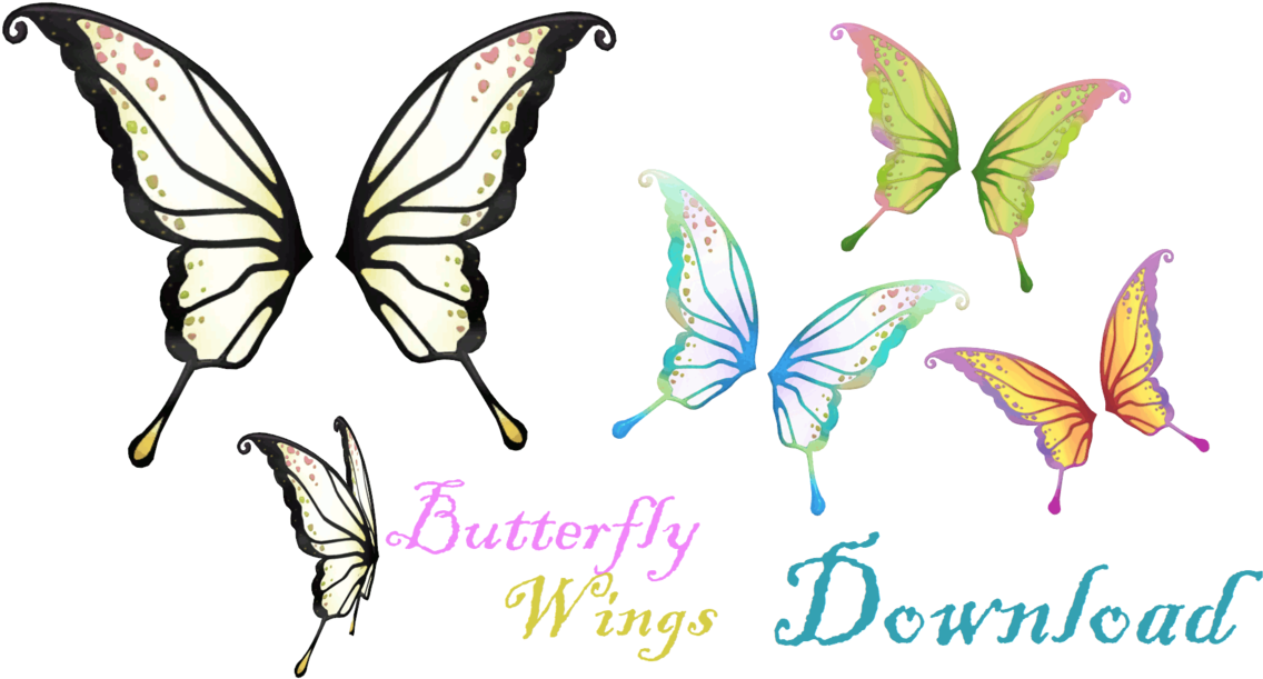 Colorful Butterfly Wings Collection