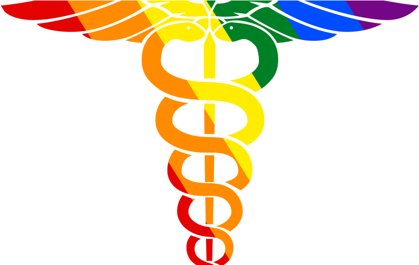 Colorful Caduceus L G B T Q Symbol