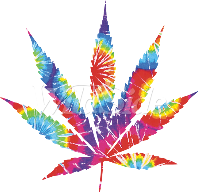 Colorful Cannabis Leaf Artwork