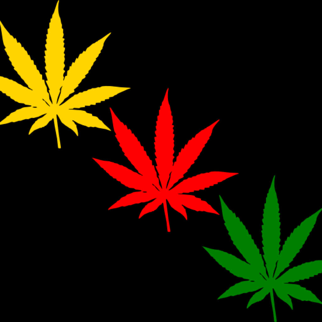 Colorful Cannabis Leaves Graphic